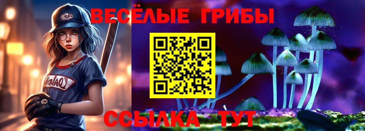 Галлюциногенные грибы Psilocybe Воскресенск